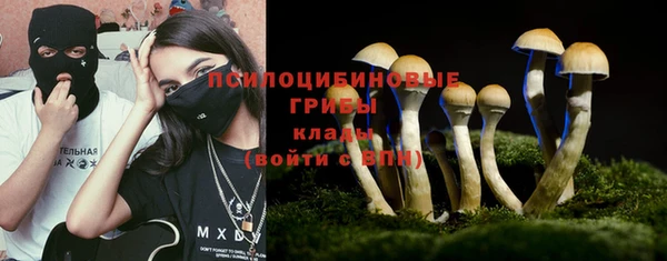 спиды Аркадак