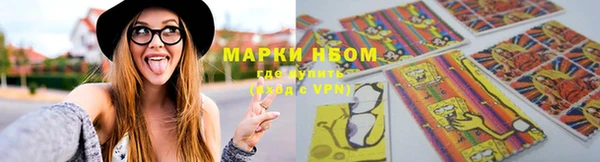 тгк Арсеньев