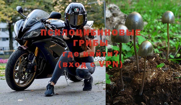 тгк Арсеньев