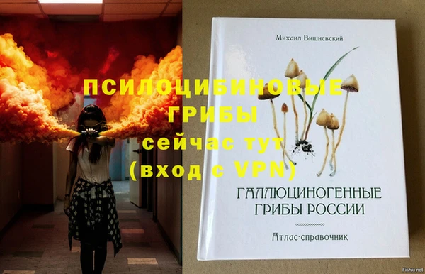 МДПВ Армянск