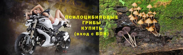 тгк Арсеньев