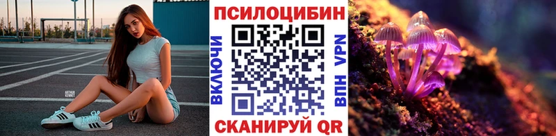 Псилоцибиновые грибы MAGIC MUSHROOMS  блэк спрут ссылка  Асбест 